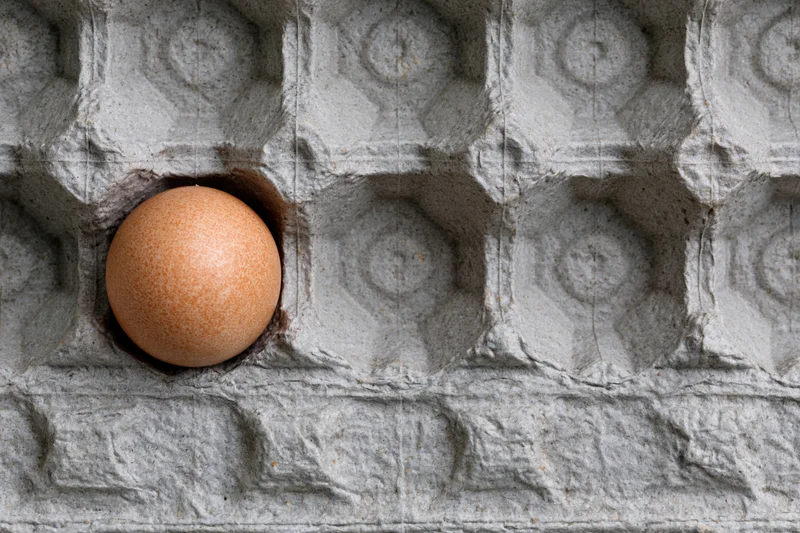 Single brown chicken egg resting in one cell of a gray paper egg carton