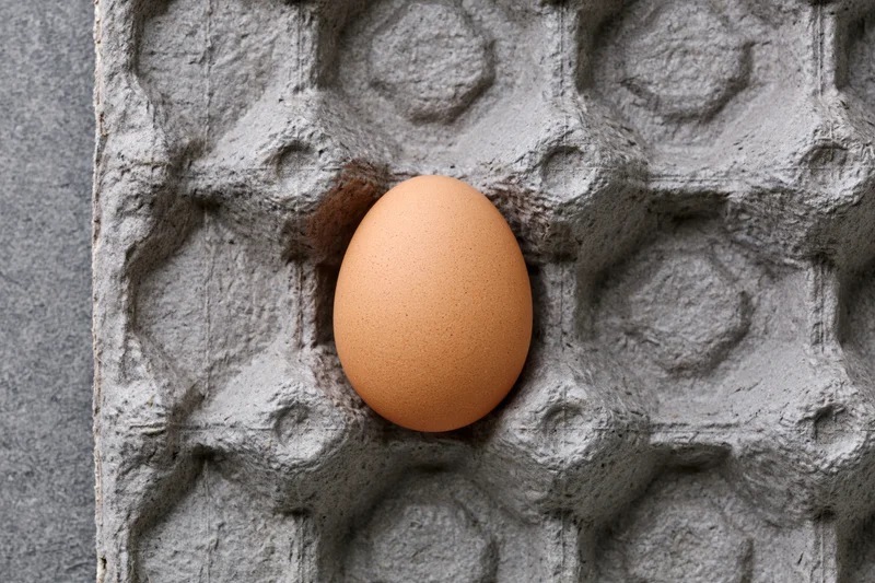 Single brown chicken egg resting in one cell of a gray cardboard egg carton