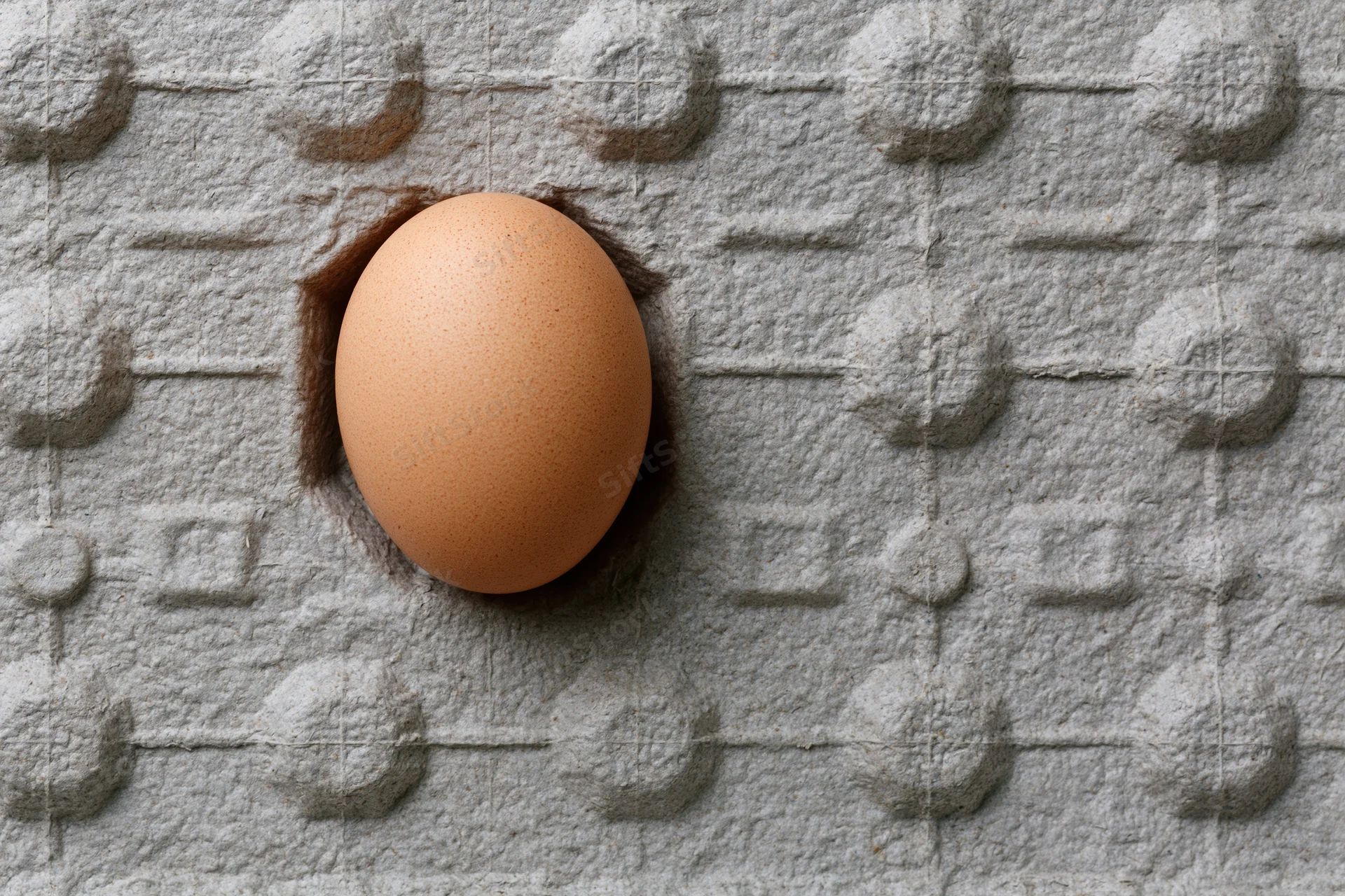 Single brown chicken egg nestled in a molded paper pulp carton cell