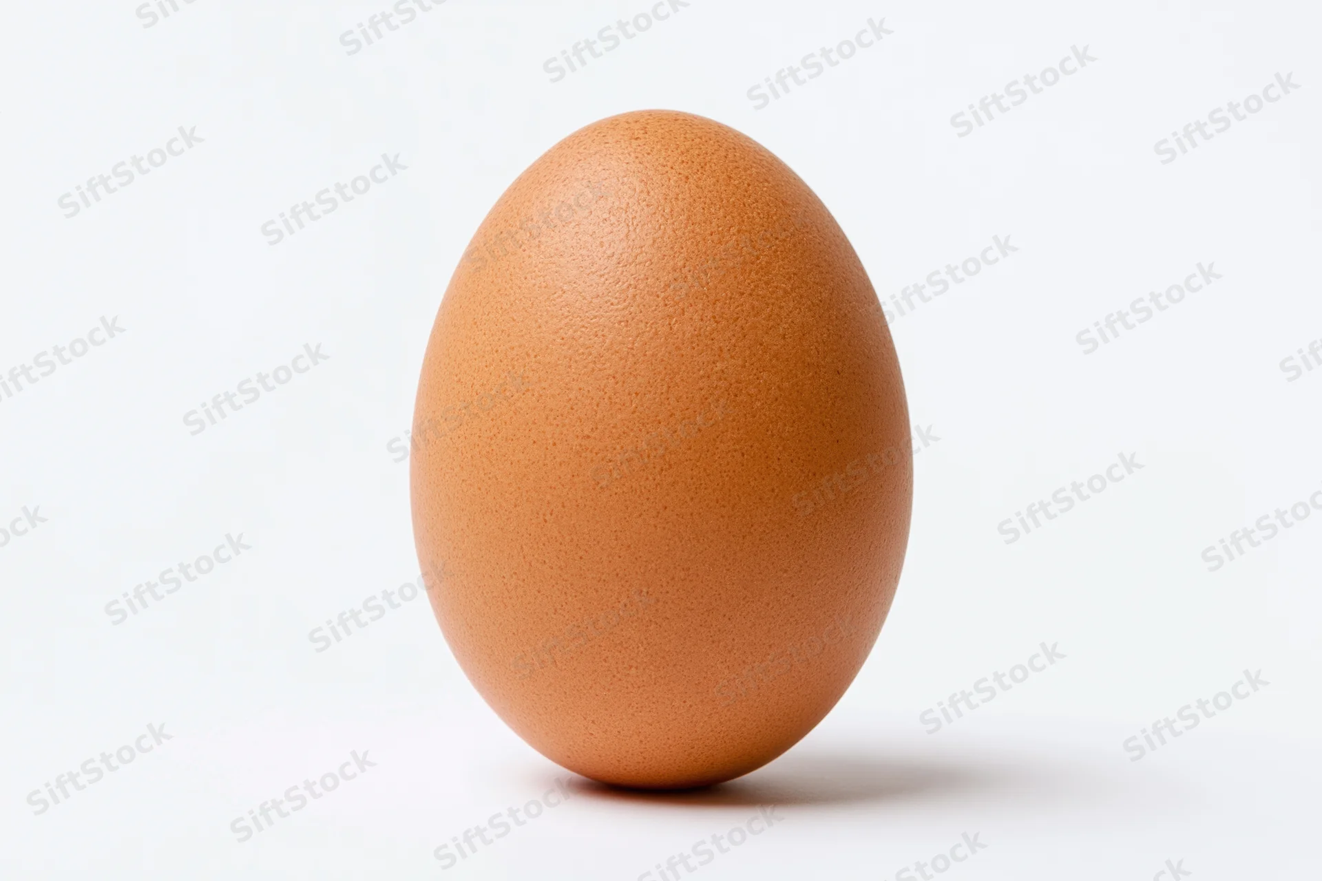 Single brown chicken egg standing upright centered on white background