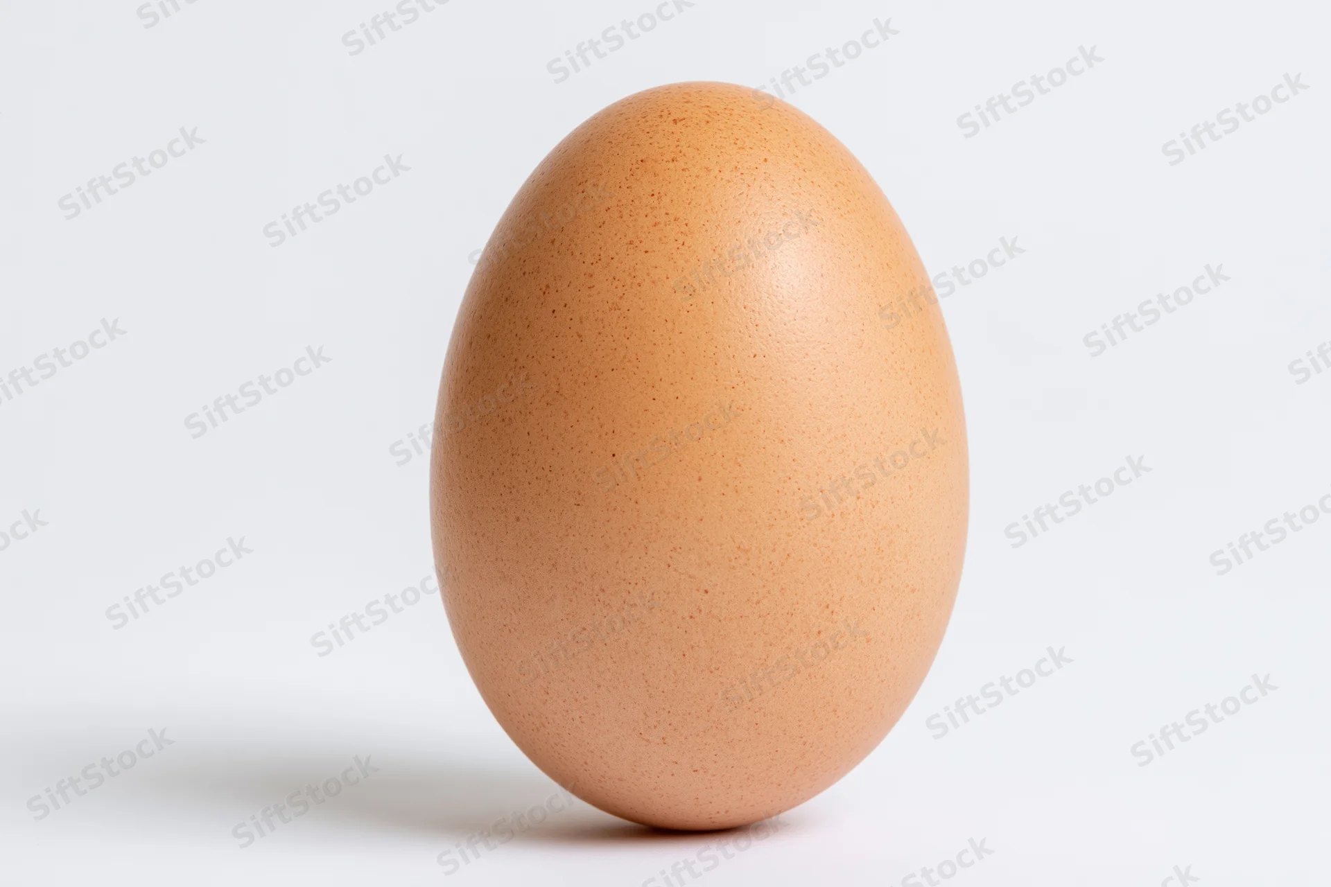 Single brown chicken egg standing upright on white background
