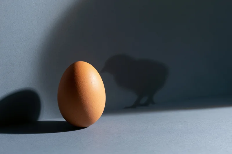 Brown egg standing upright on matte surface casting chicken shadow