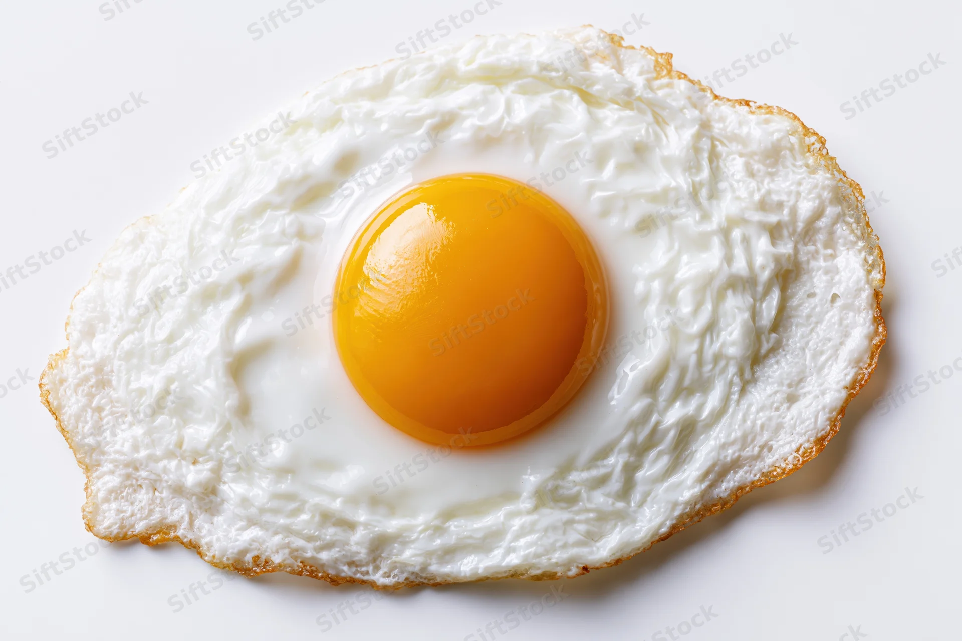 Single fried egg sunny-side up with intact yolk centered on white surface