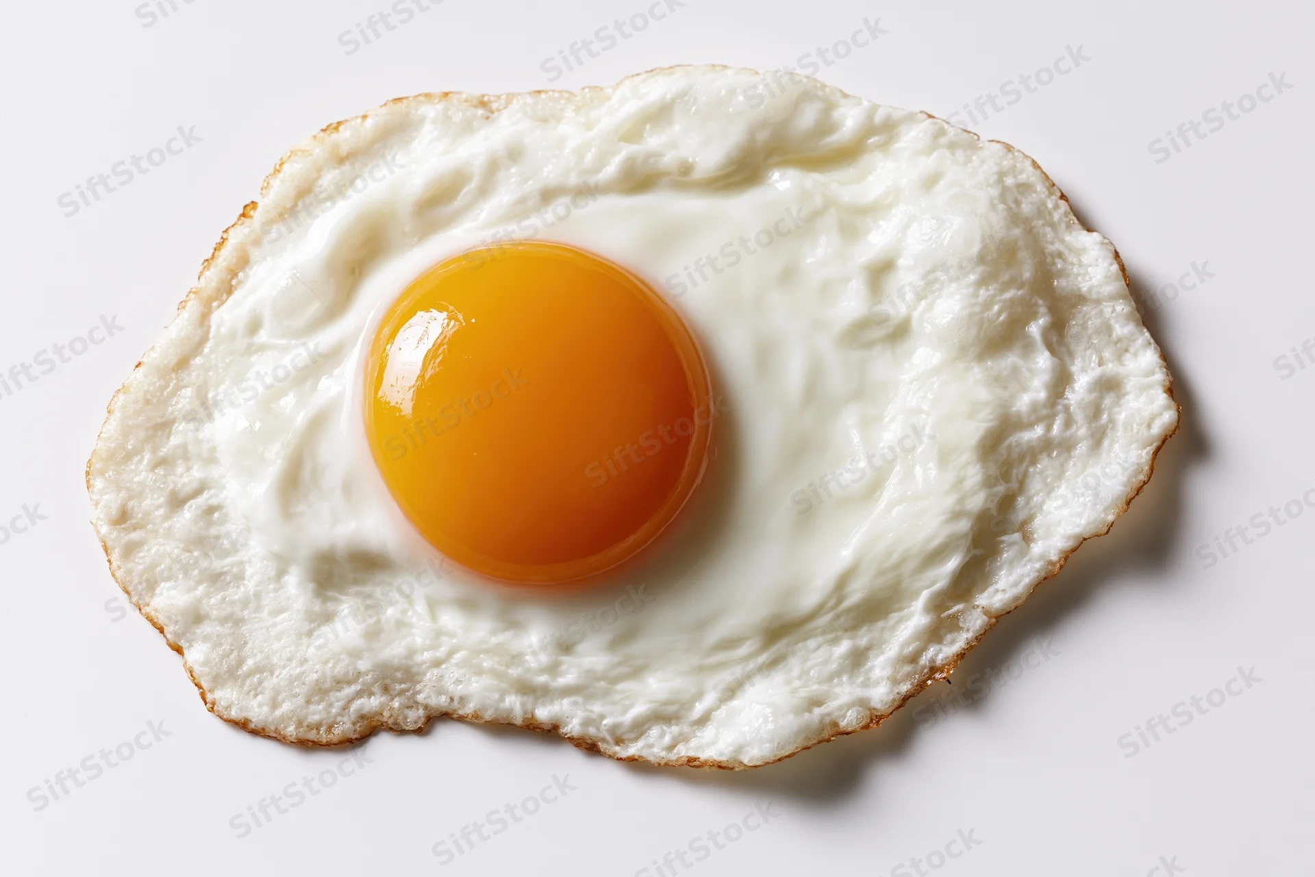 Single fried egg sunny side up resting flat on plain white surface