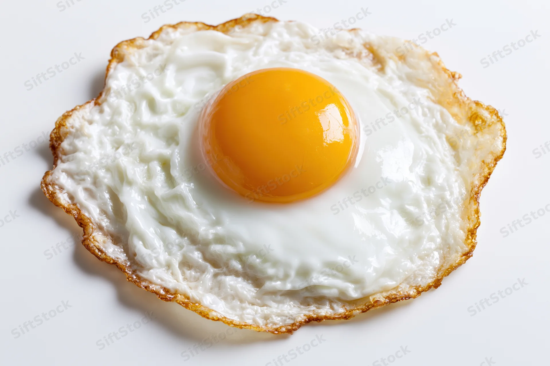 Single fried egg sunny side up on a white surface