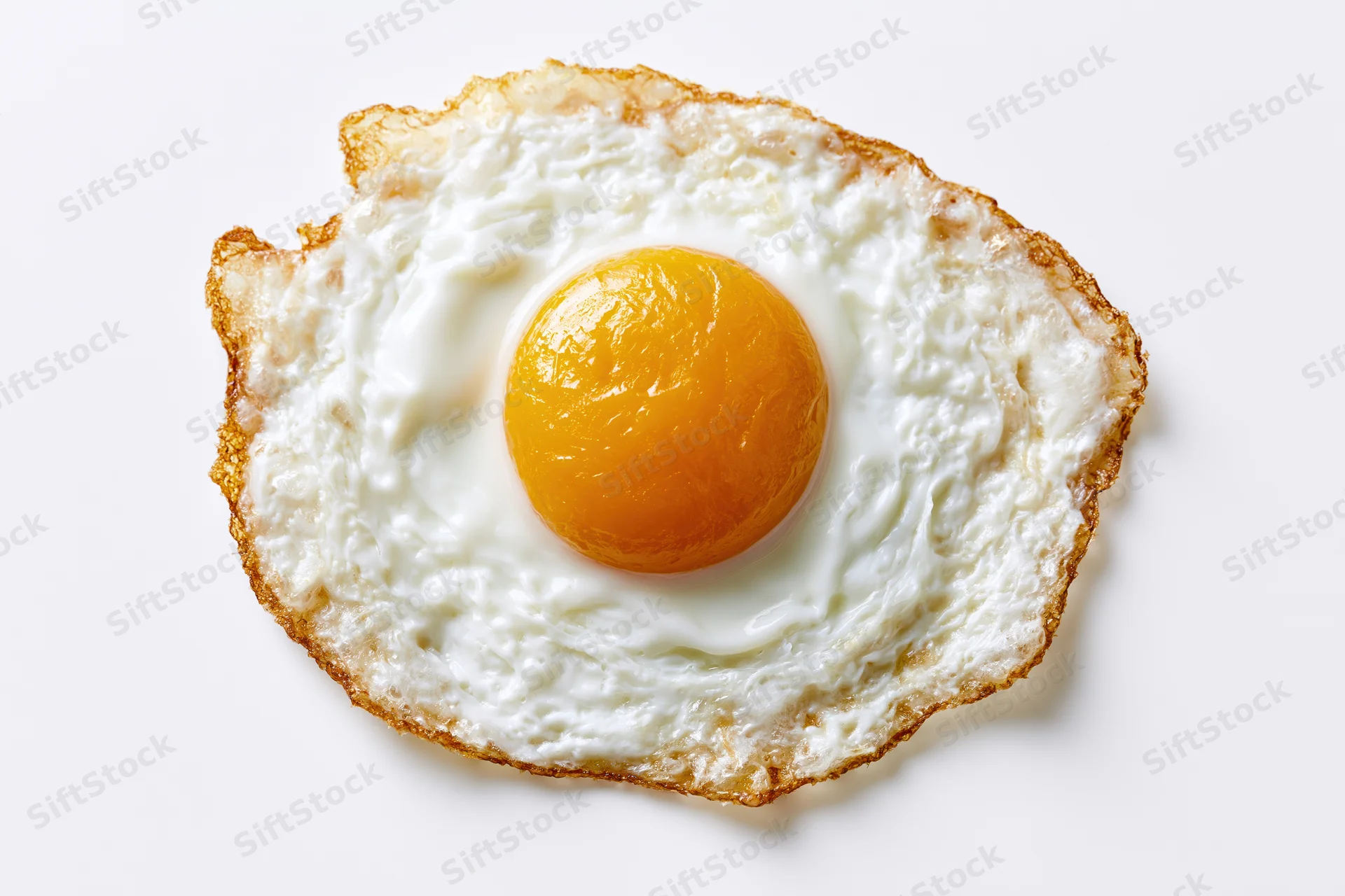 Single fried egg sunny side up on white background