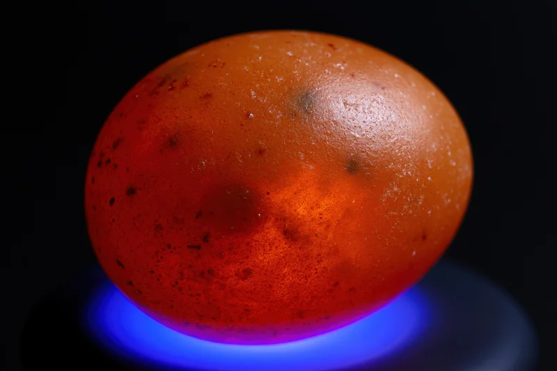 A raw egg illuminated from below by a blue light source against a dark background