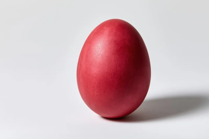 A single red-dyed easter egg standing upright on a plain white surface