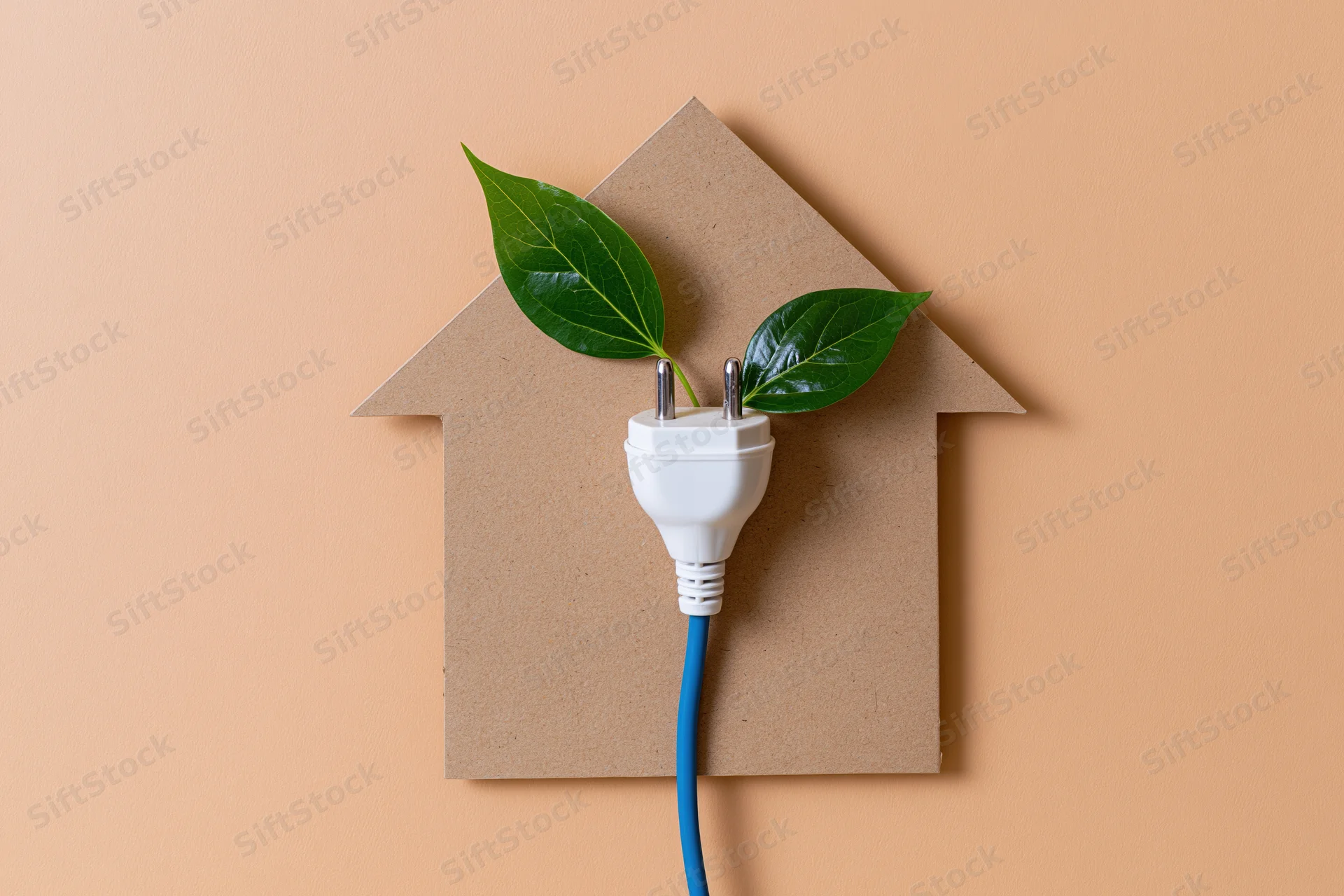 White plug with blue cord styled as a plant stem growing from cardboard house shape with green leaves