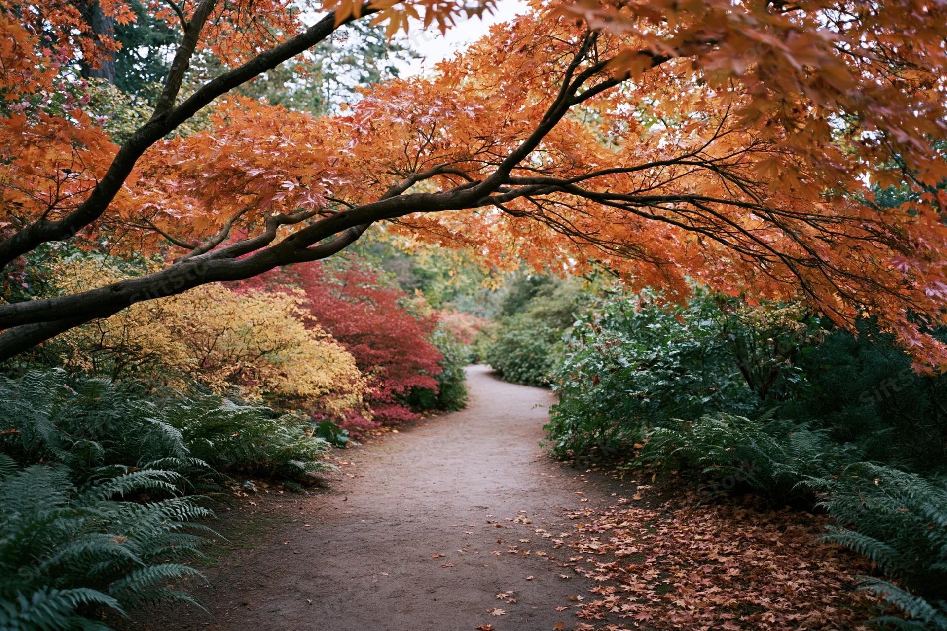 Winding dirt path through autumn foliage in a garden setting