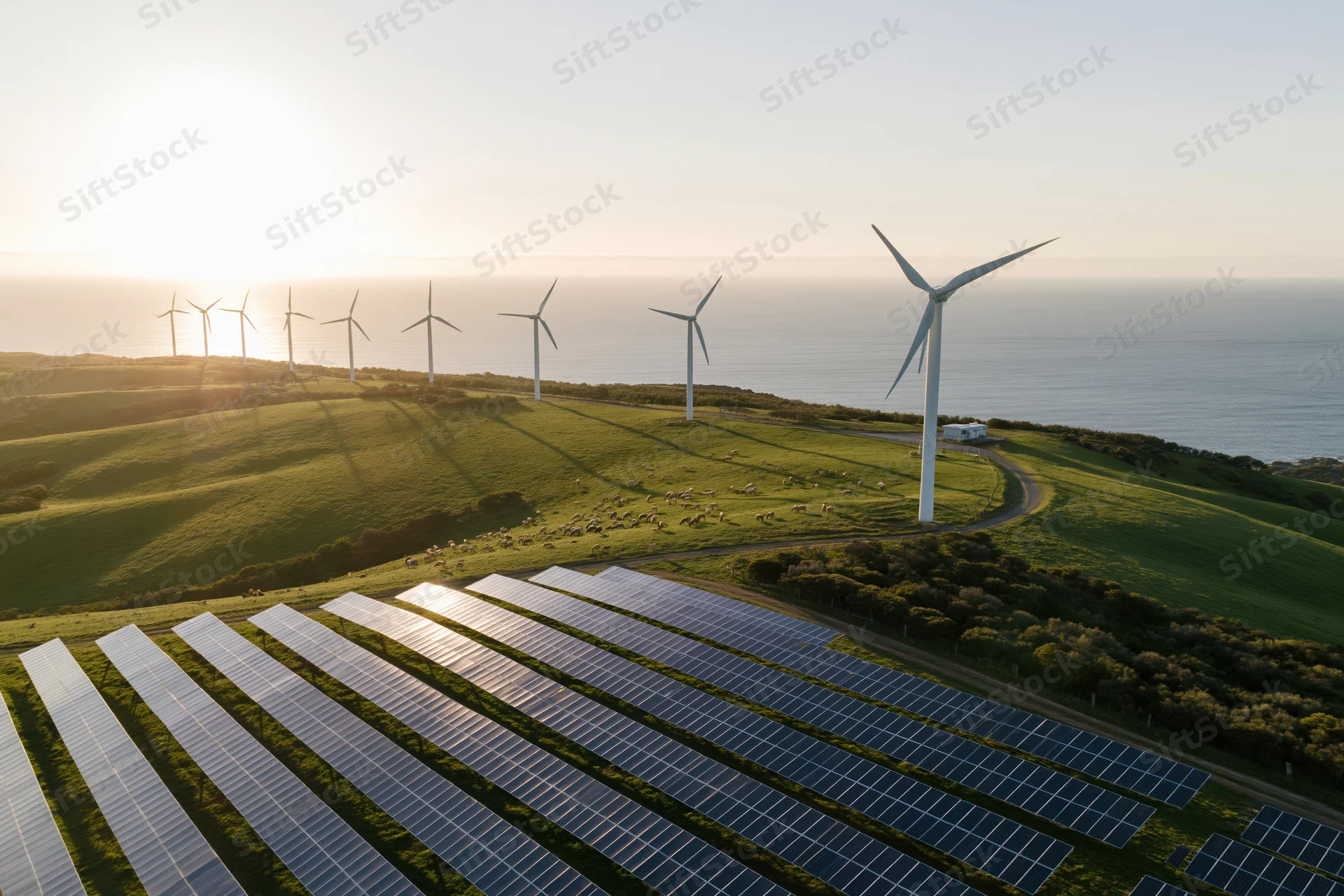 Rows of solar panels and wind turbines on a coastal hillside at sunrise
