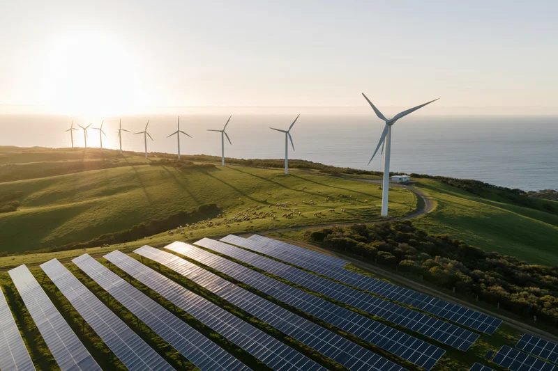 Rows of solar panels and wind turbines on a coastal hillside at sunrise