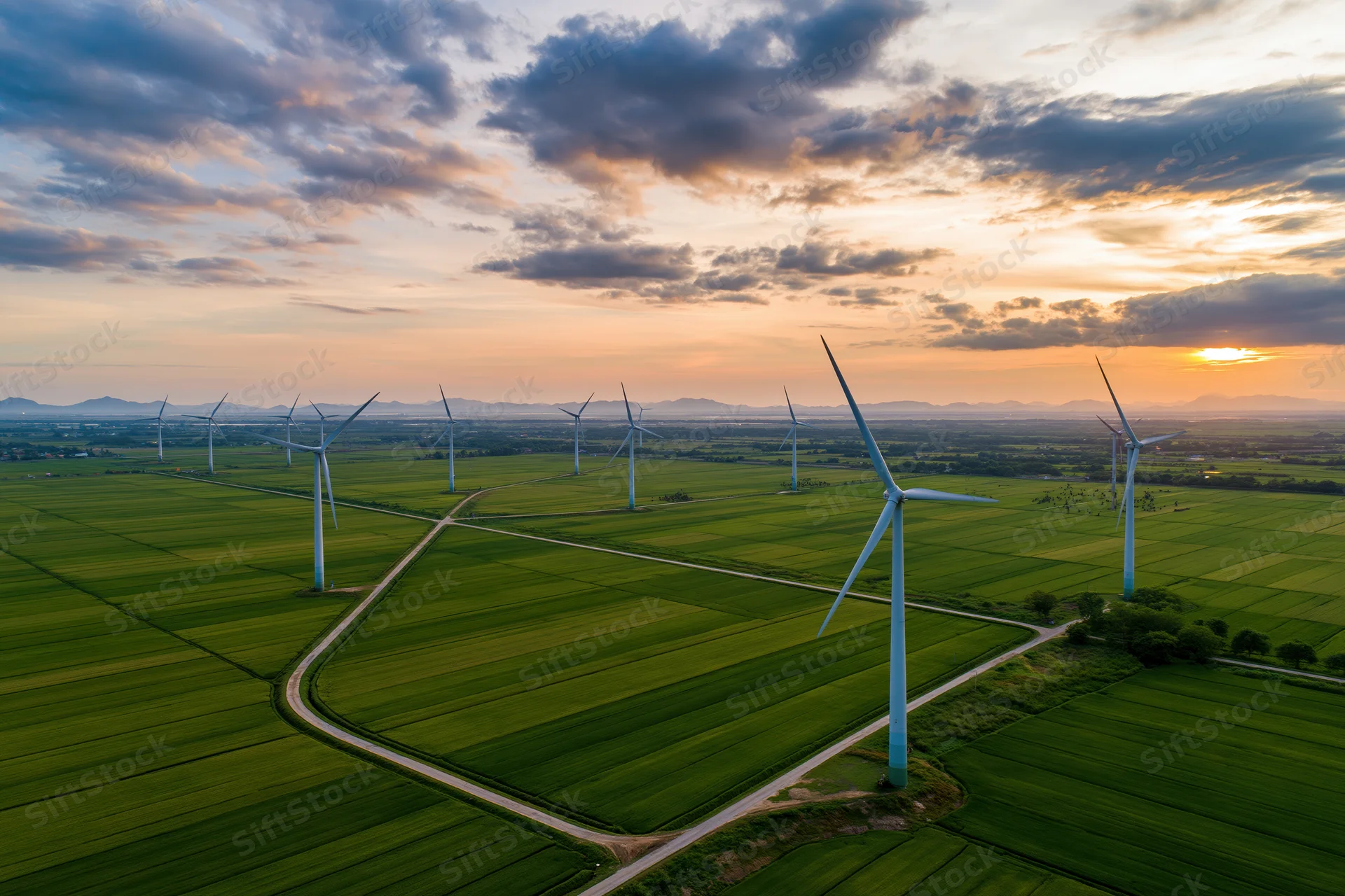 Wind turbines spread across flat green rice fields at sunset