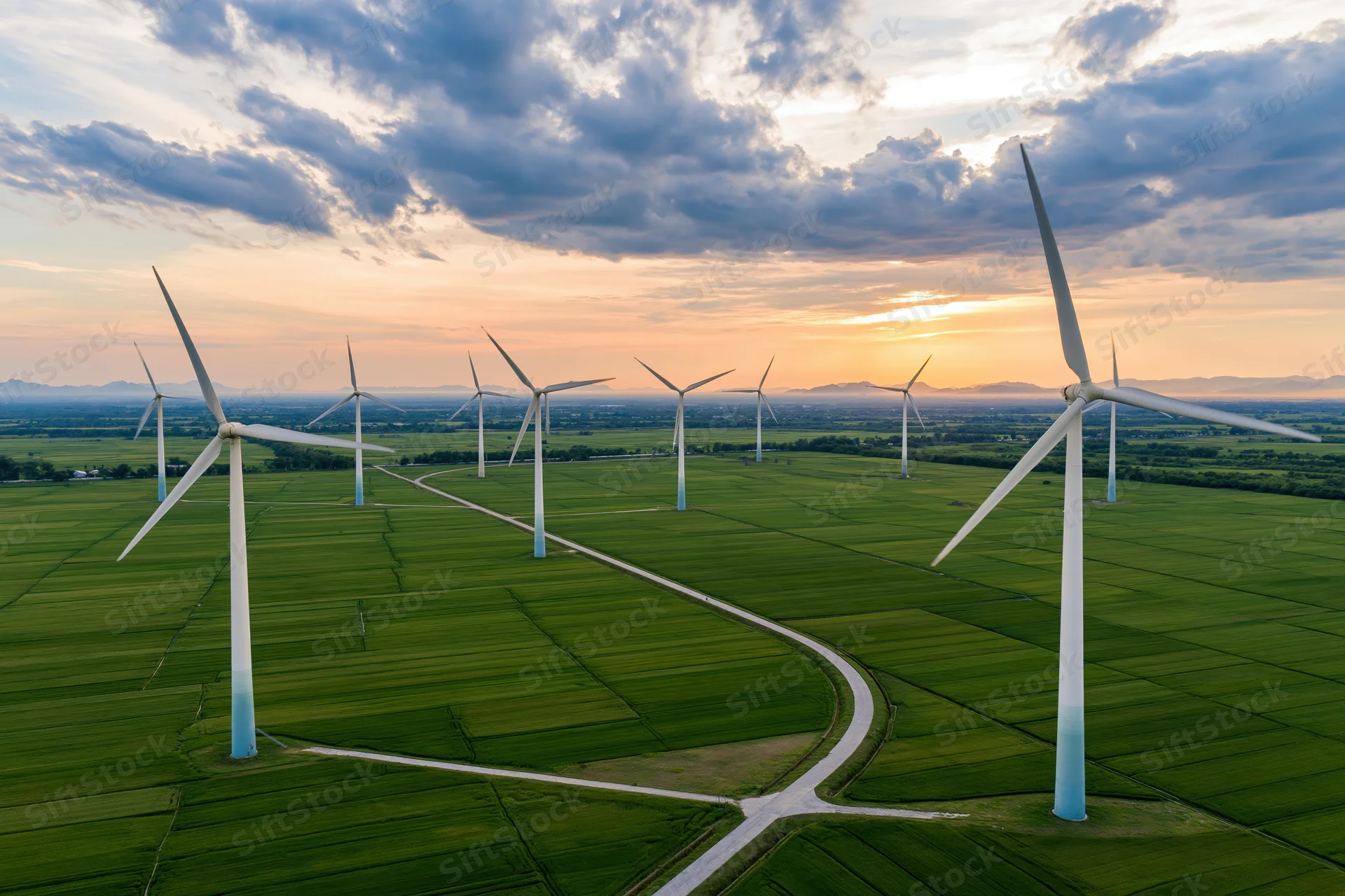 Wind turbines arranged in rows across a green rice field at sunset