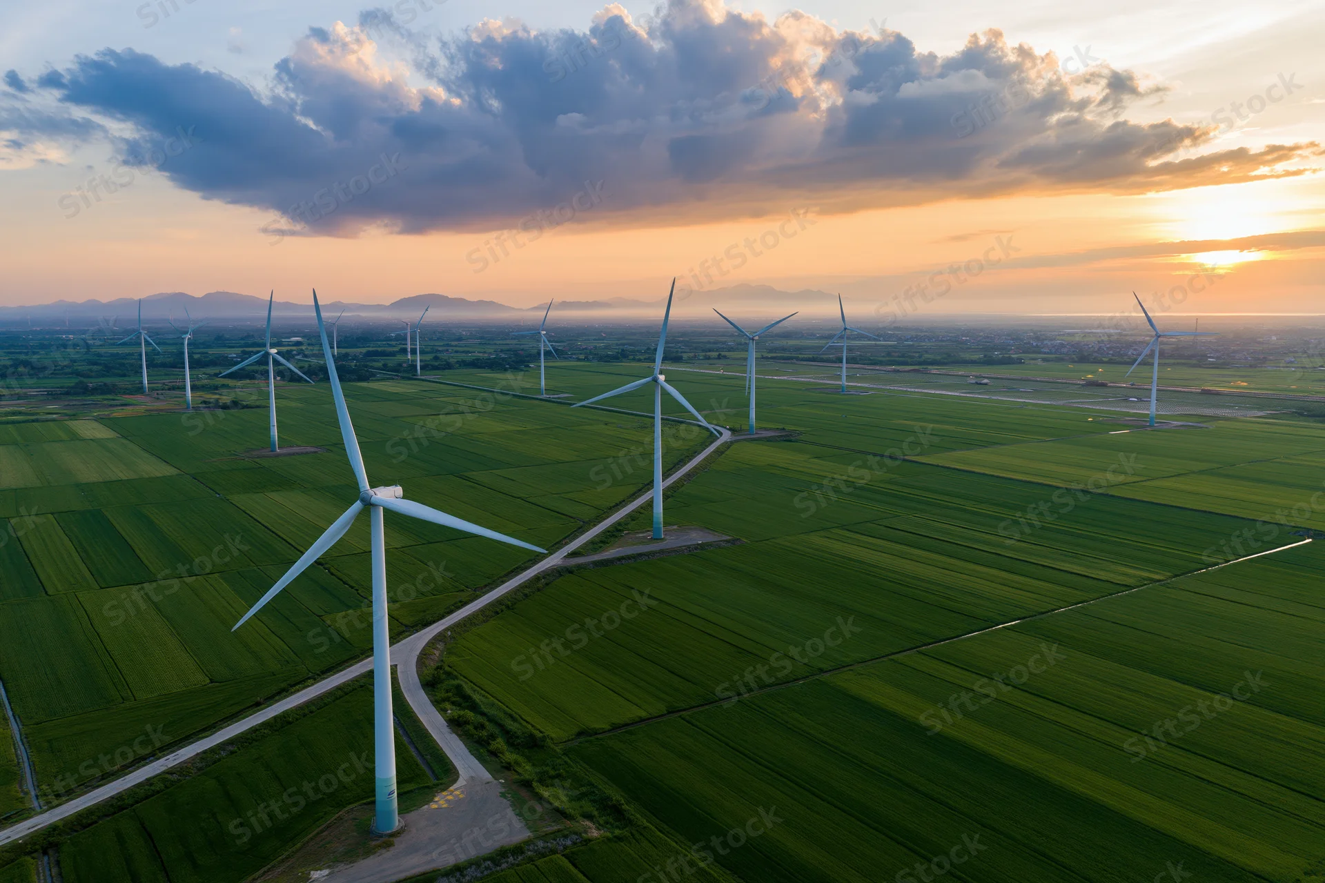 Wind turbines spread across flat green rice fields at sunset