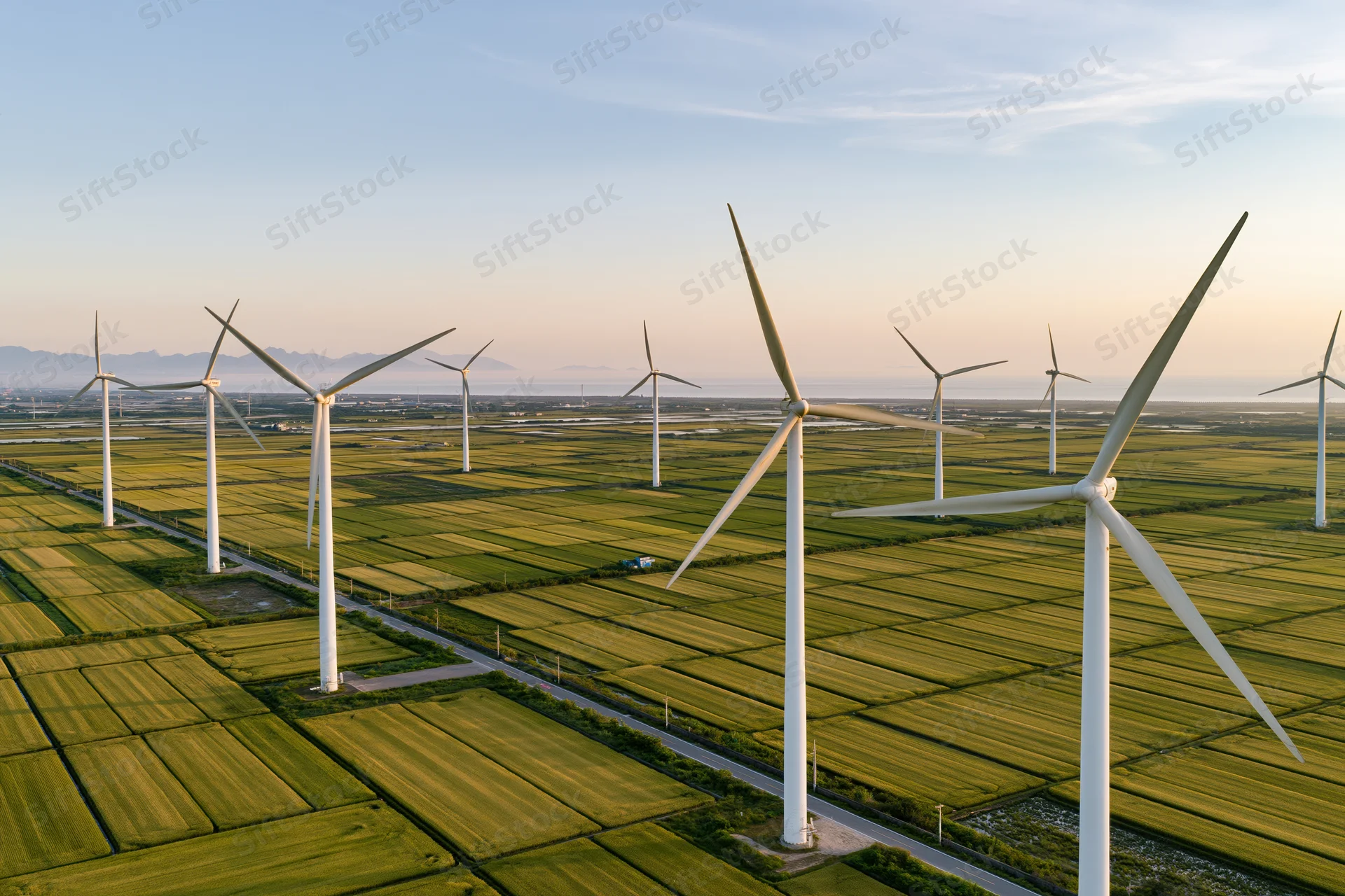 Wind turbines arranged in rows across a green agricultural field under a clear sky at sunset