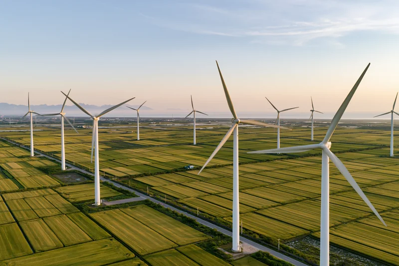 Wind turbines arranged in rows across a green agricultural field under a clear sky at sunset