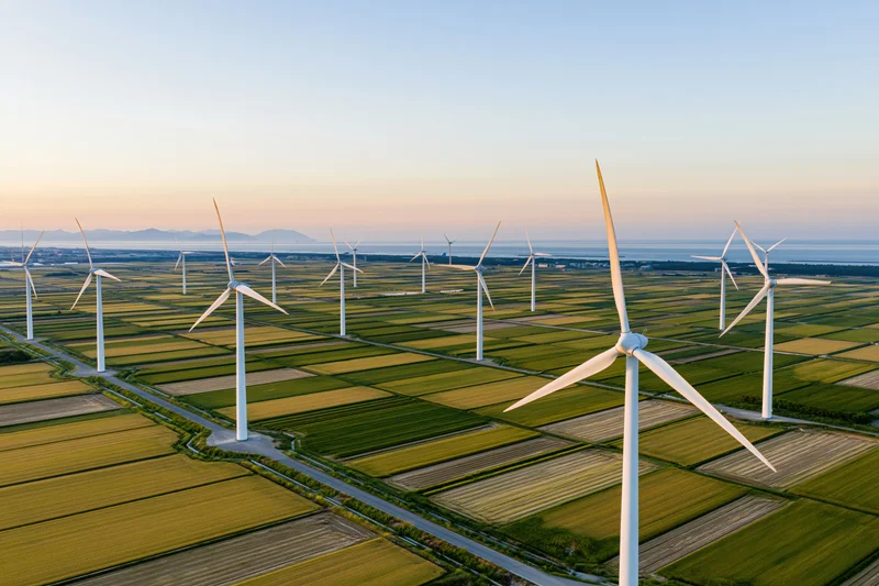 Wind turbines standing across flat green farmland near coast at sunset