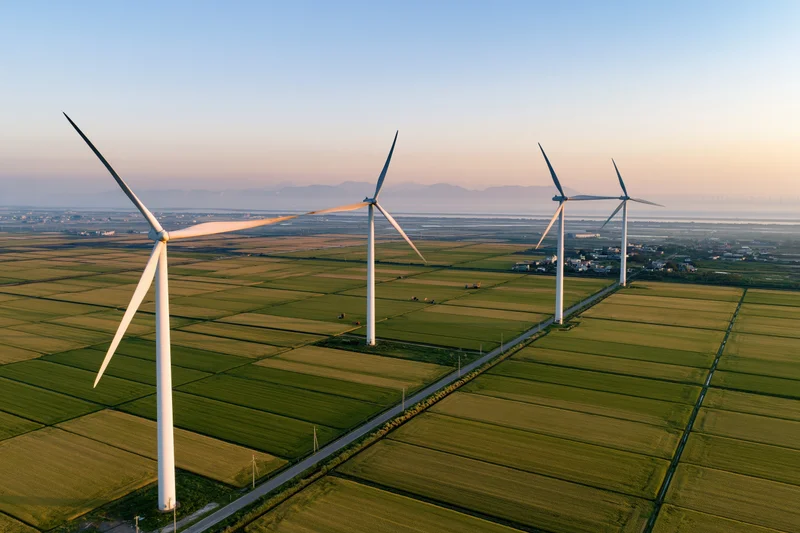 Wind turbines standing in a row across flat green farmland under a clear sky at sunset