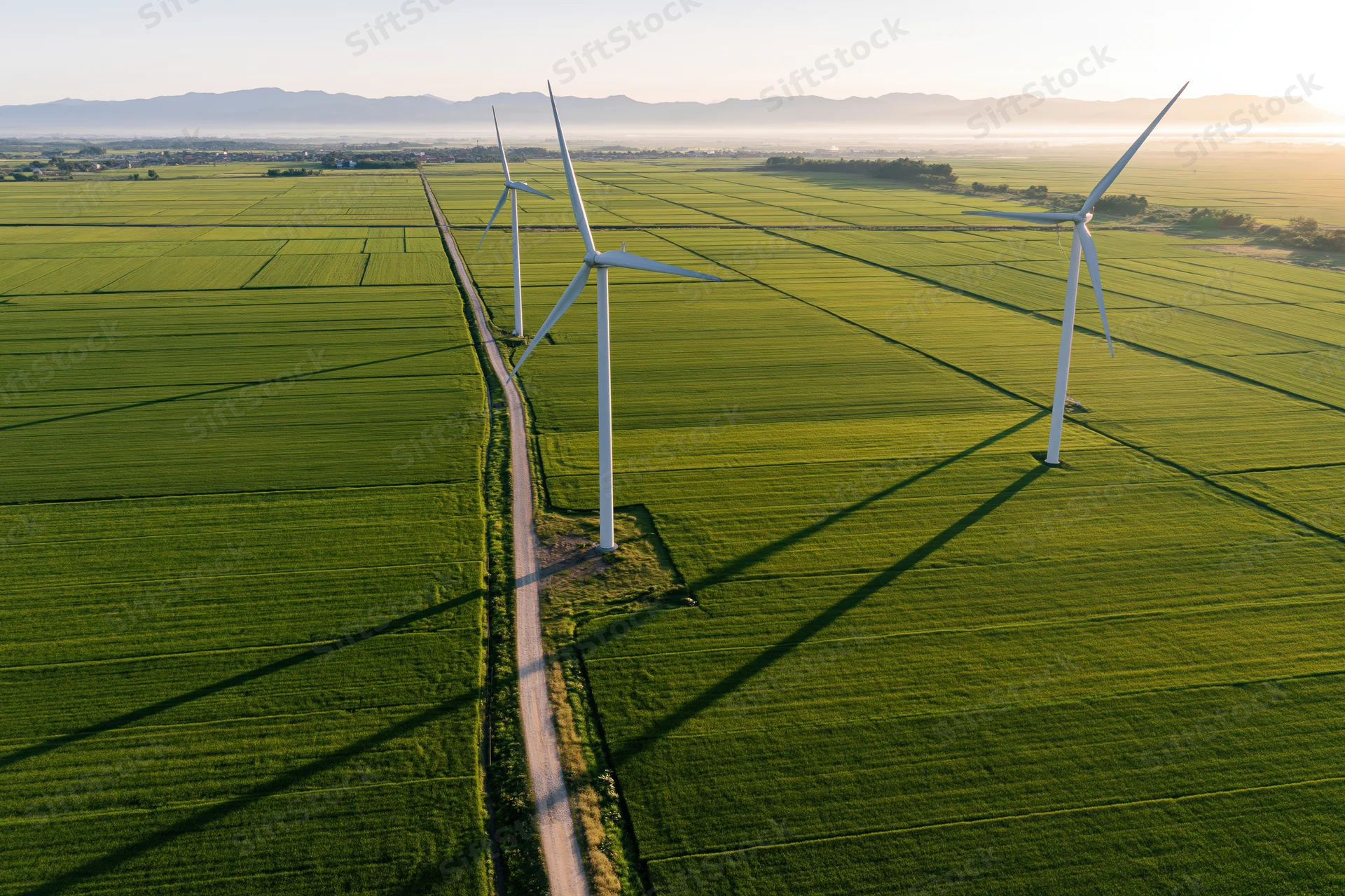 Three wind turbines aligned along a dirt road through green rice fields at sunrise