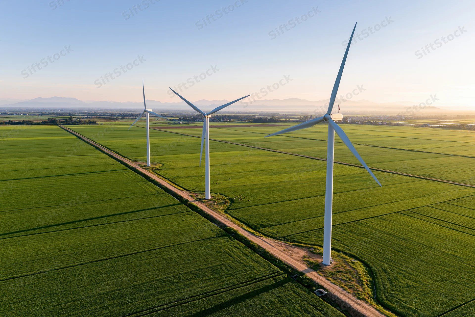 Three wind turbines aligned along a dirt road in a green agricultural field under a clear sky at sunrise