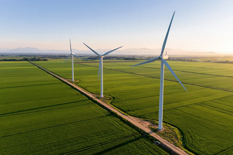 Three wind turbines aligned along a dirt road in a green agricultural field under a clear sky at sunrise
