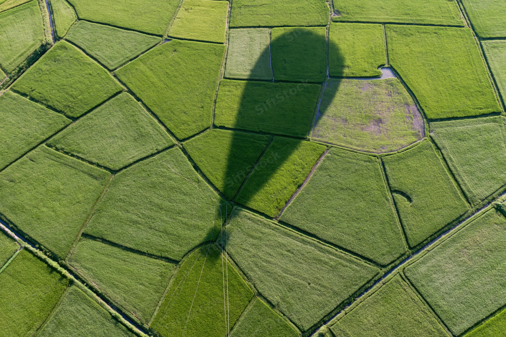 Aerial topdown view of patchwork rice paddies in rural farmland with irrigation canals and a drone shadow