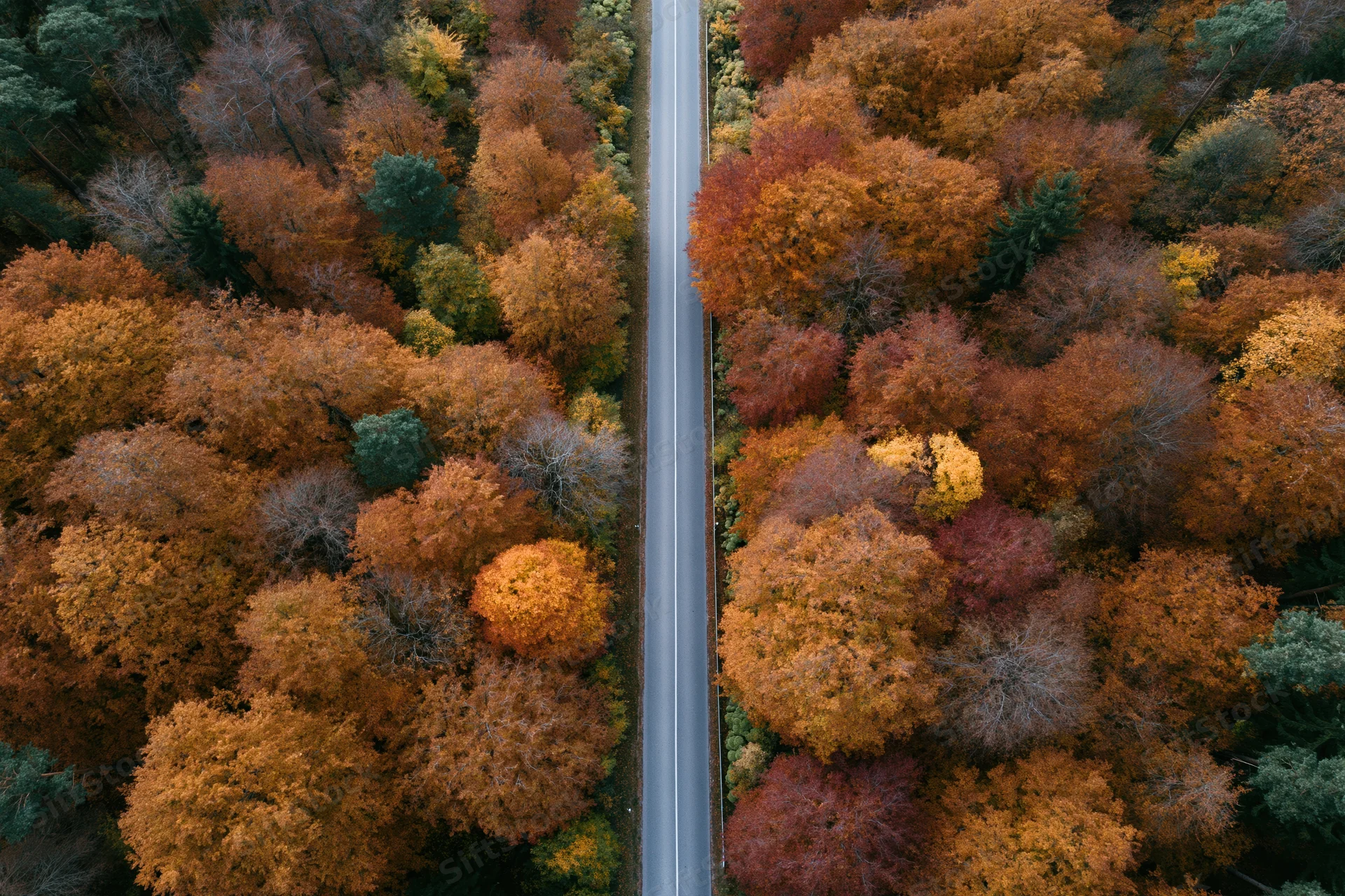 Narrow two-lane road cutting through dense autumn forest from aerial top-down view