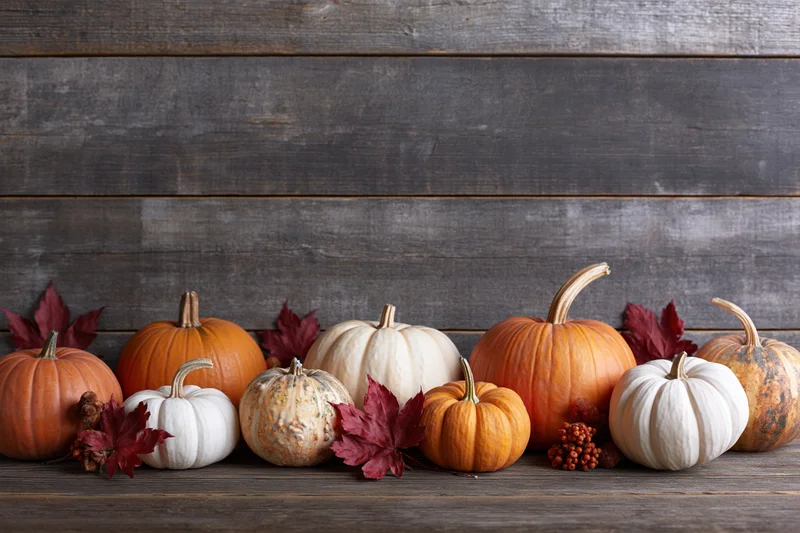 Assorted pumpkins and gourds arranged in a row on a wooden table with autumn leaves and berries