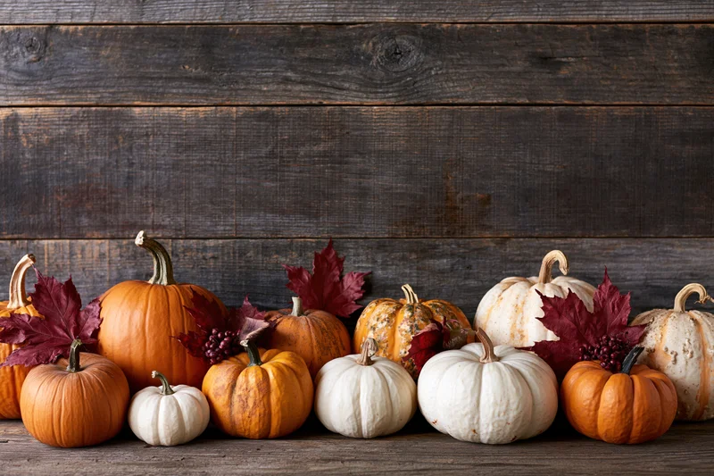 Assorted pumpkins and gourds arranged in a row along a wooden surface with autumn leaves and copyspace above