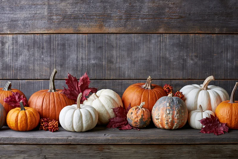 Assorted pumpkins and gourds arranged in a row on a wooden surface with autumn leaves and berries