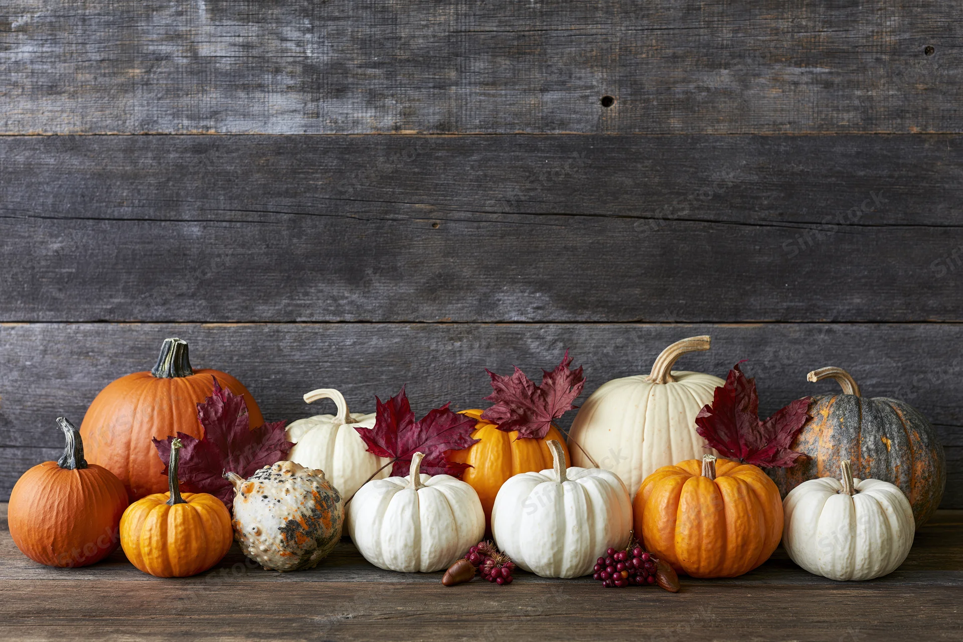 Assorted pumpkins and gourds arranged in a row on a wooden surface with autumn leaves and berries against a rustic wood background