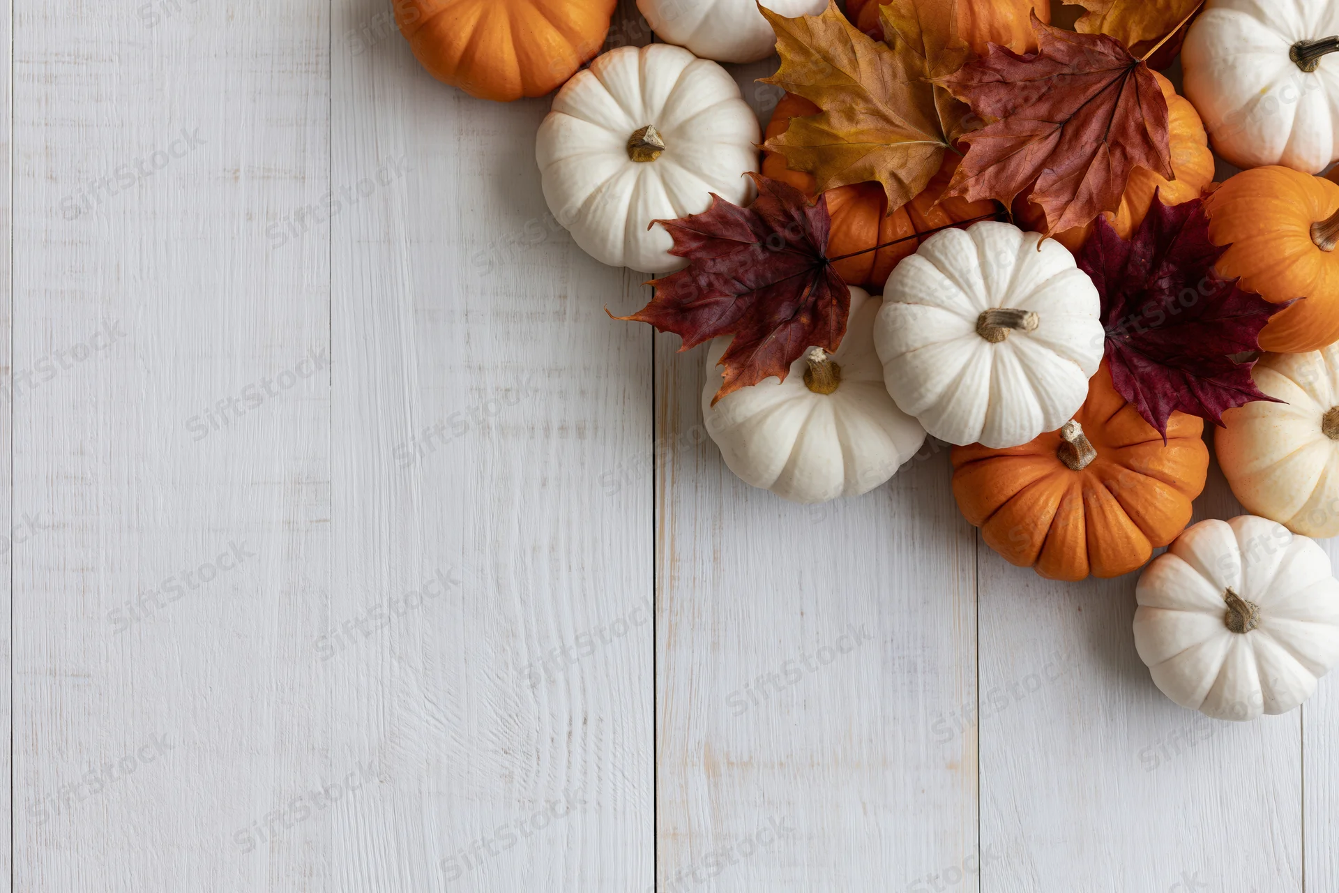 Small orange and white pumpkins with autumn maple leaves arranged on a white wooden table in a flat lay composition