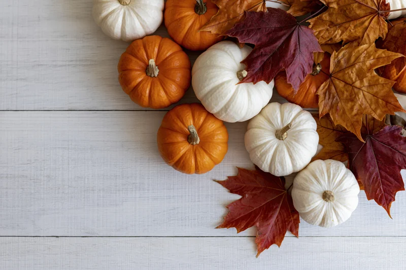Small orange and white pumpkins with autumn maple leaves arranged on a white wooden table in a flat lay composition with copyspace