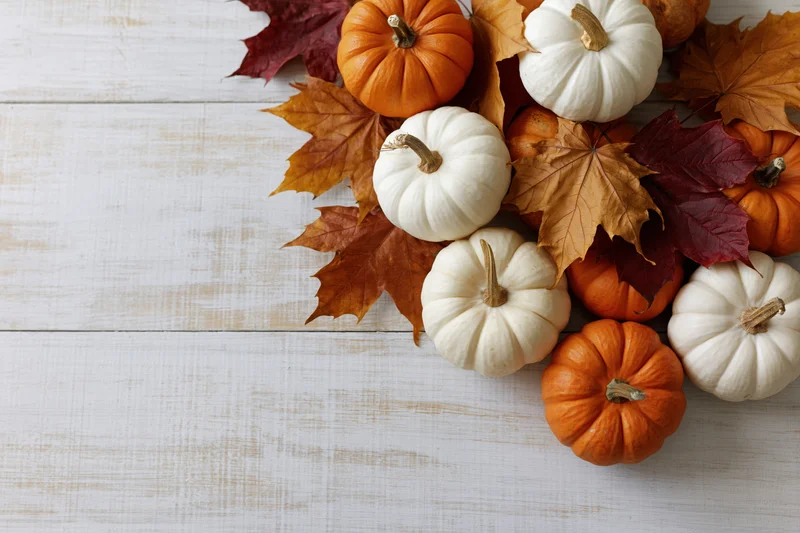 Small orange and white pumpkins arranged with autumn leaves on a white wooden table