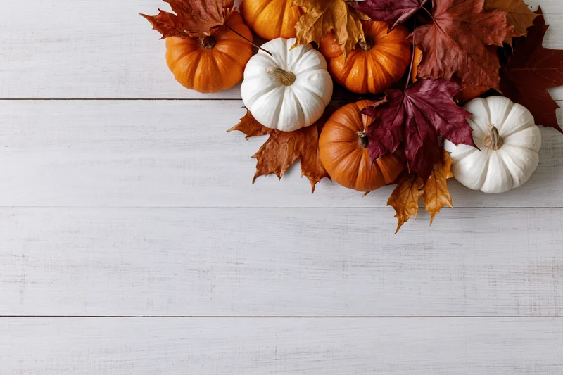 Small orange and white pumpkins with autumn maple leaves arranged on a white wooden table in a flat lay composition