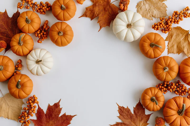Small orange and white pumpkins arranged with autumn leaves and berries in a flat lay border on white background