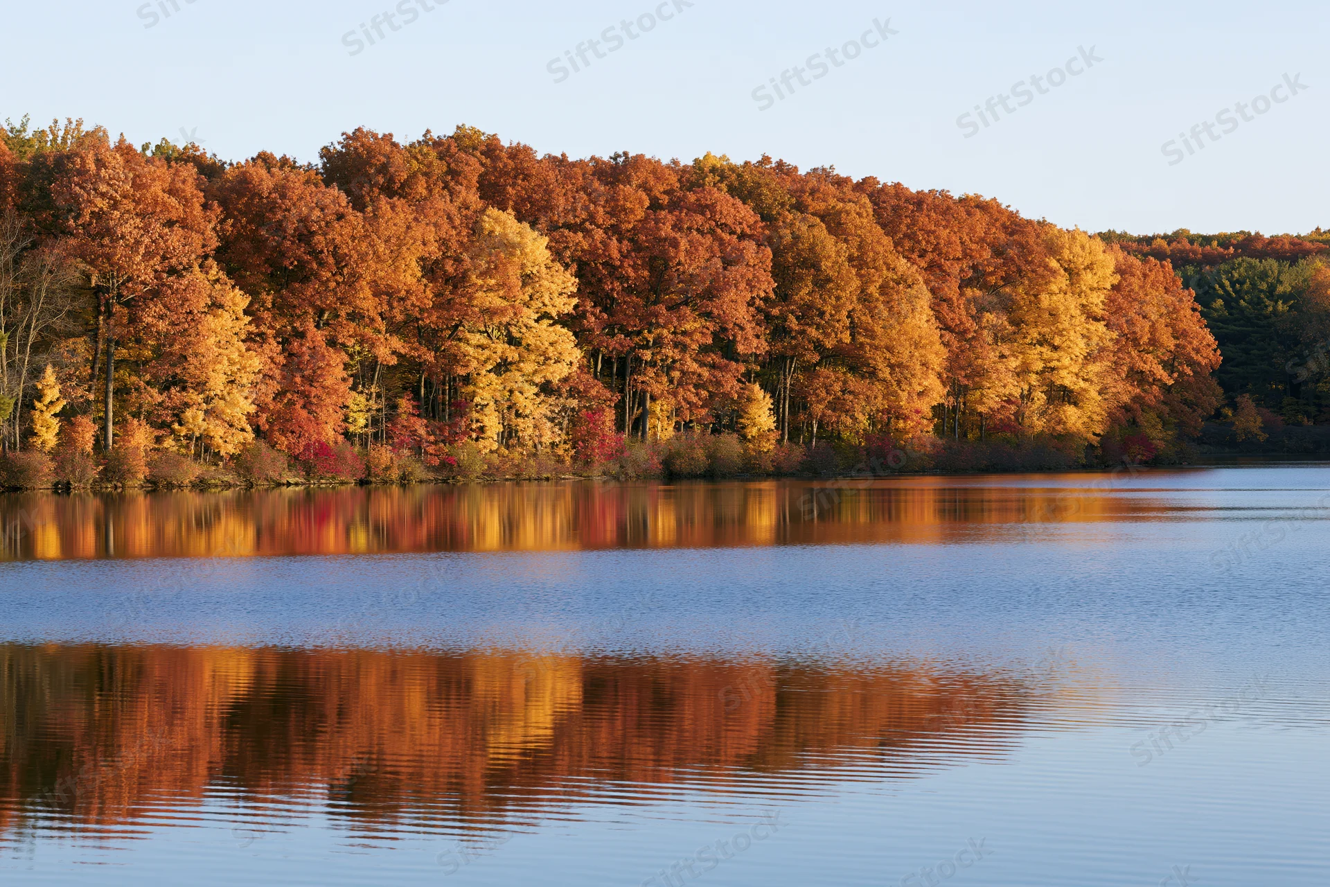 Autumn forest treeline reflected in calm lake water along shoreline