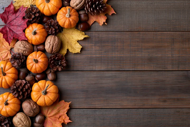 Small orange pumpkins, walnuts, acorns, pinecones and autumn leaves arranged in a flat lay on dark wooden surface with copyspace