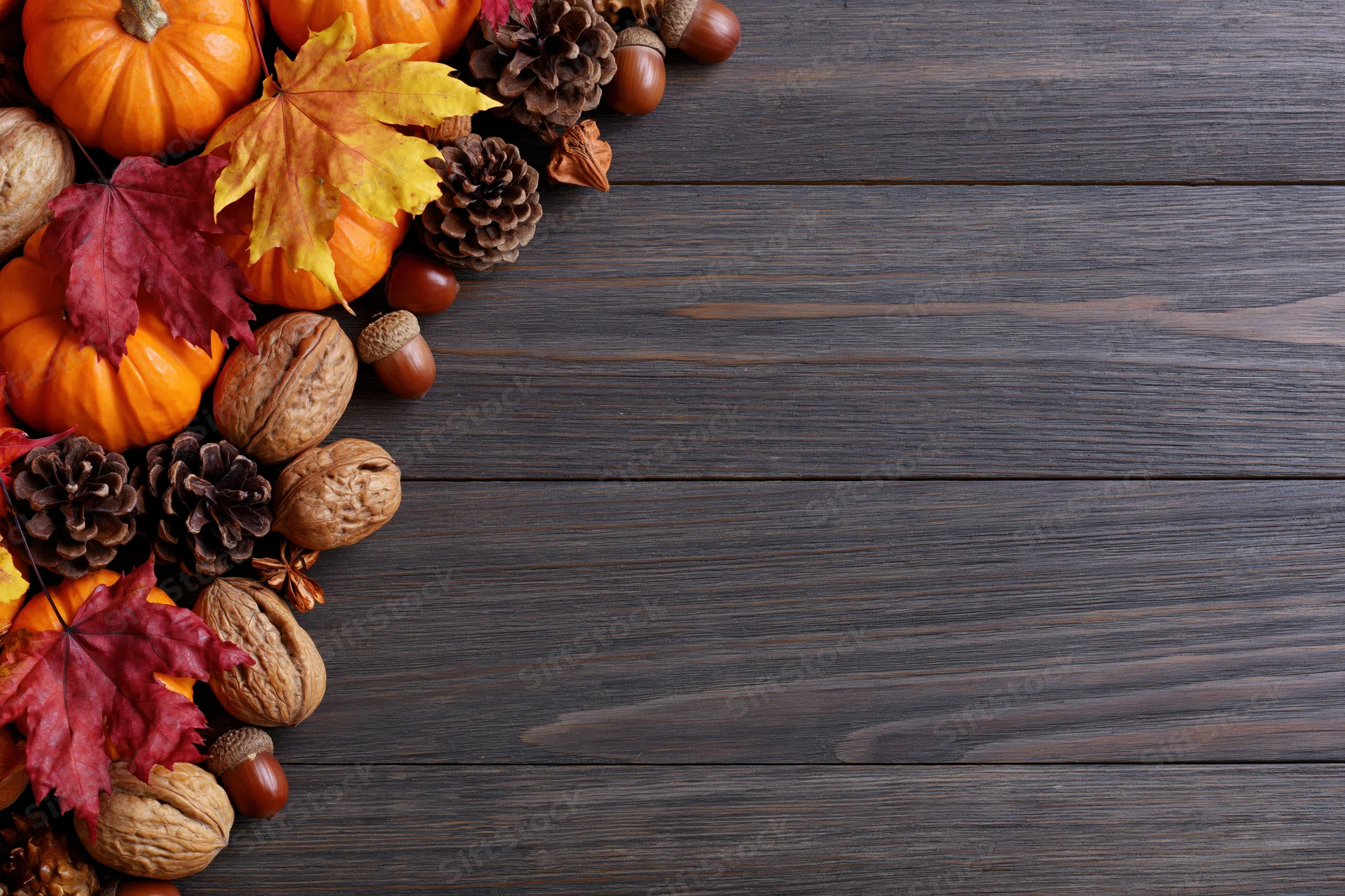 Autumn harvest flat lay with small orange pumpkins walnuts acorns and maple leaves arranged on dark wooden surface