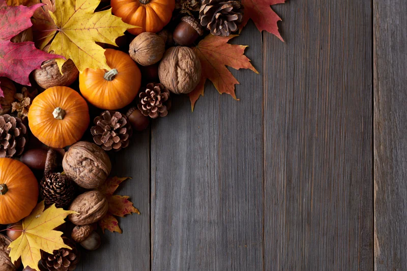 Autumn harvest flat lay with small orange pumpkins, walnuts, acorns, pinecones and colorful leaves arranged on dark wooden surface