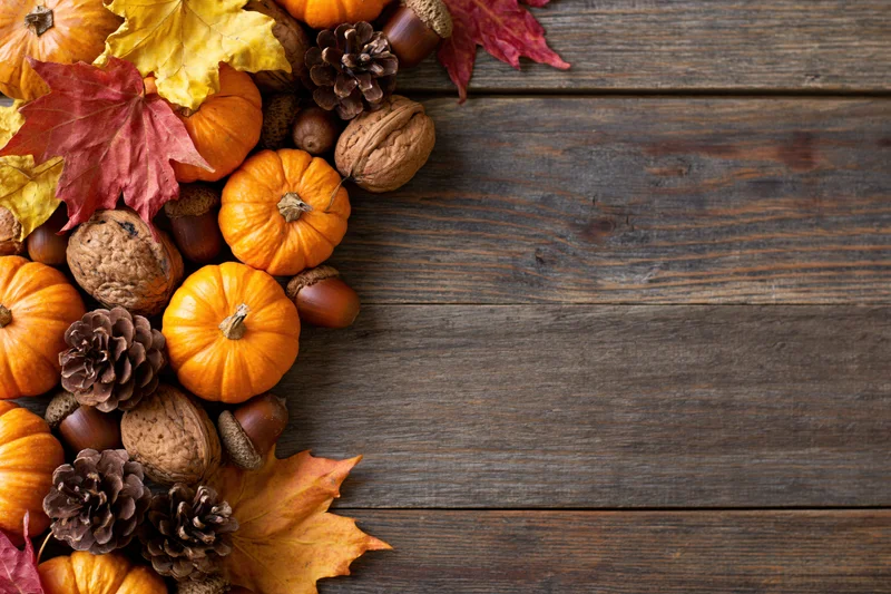 Autumn harvest flat lay with small orange pumpkins walnuts acorns and colorful leaves arranged on rustic wooden table