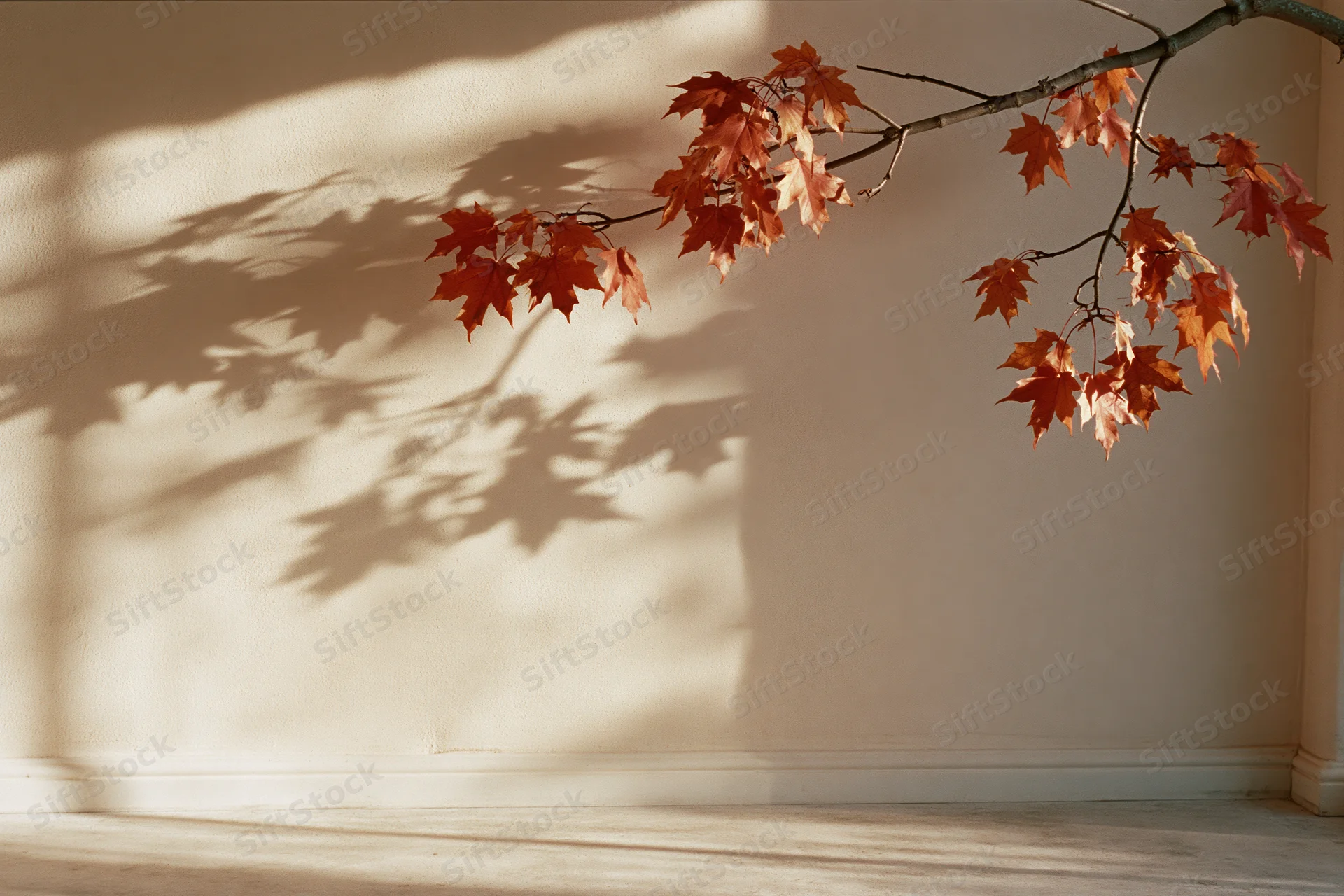 Maple branch with orange-red leaves extending into a sunlit interior corner, casting shadows on a beige wall