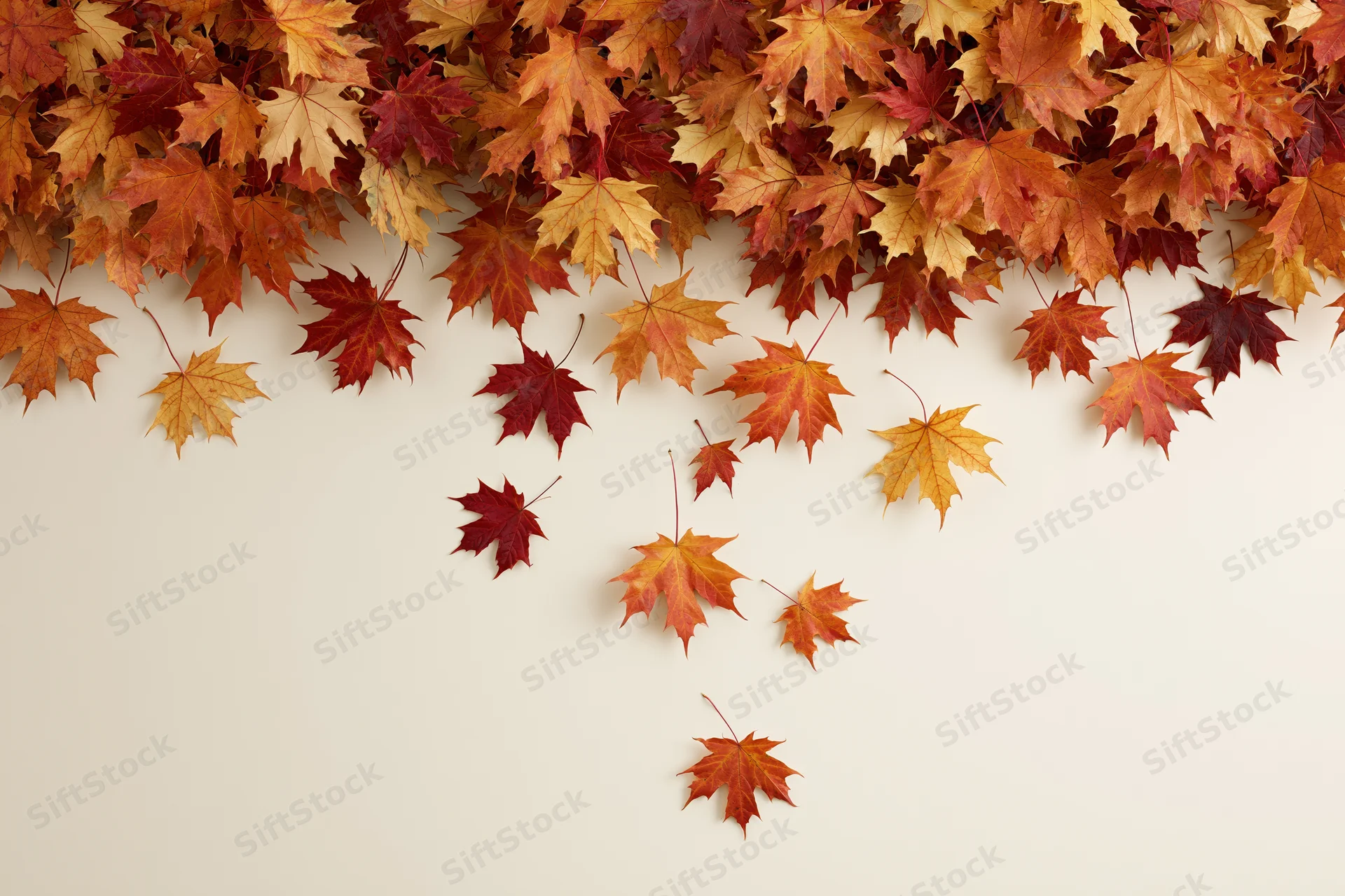 Maple leaves falling and drifting downward clustered at the top of the frame with copyspace below