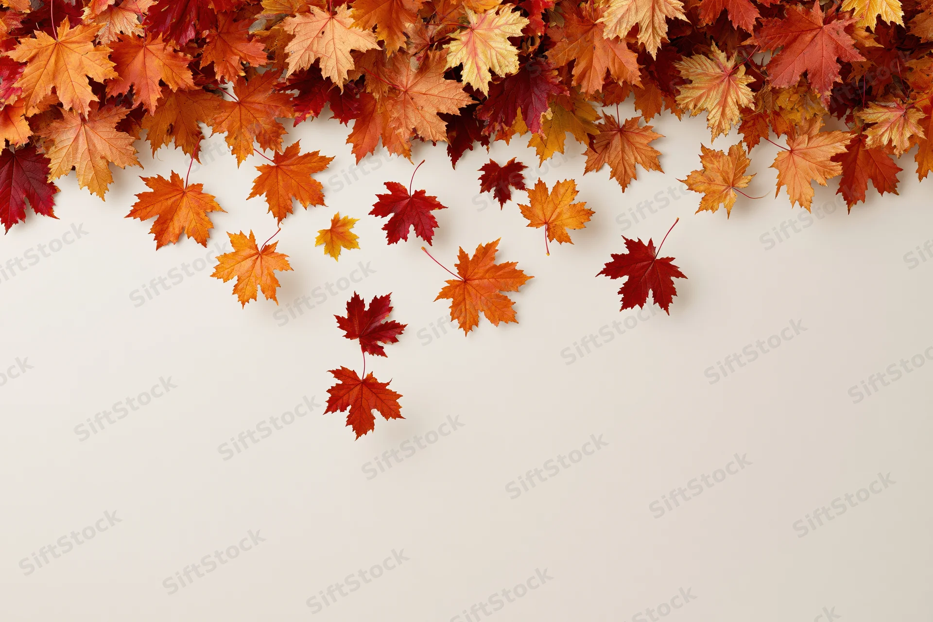 Maple leaves falling and drifting downward clustered at the top of the frame with copyspace below