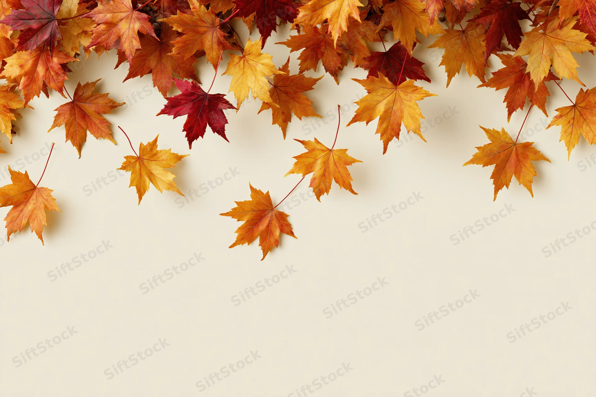 Maple leaves falling and drifting downward clustered at the top of the frame, leaving copyspace below