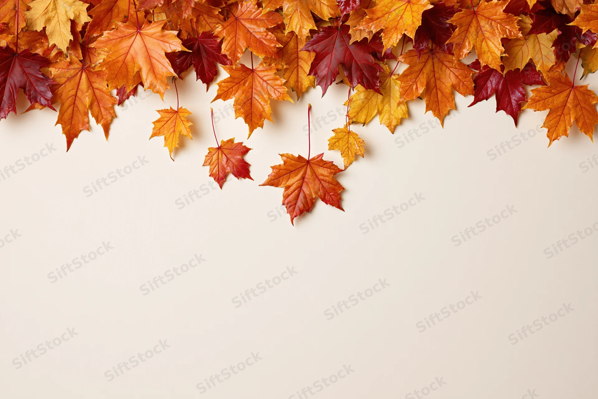 Maple leaves falling and drifting downward clustered at the top of the frame with copyspace below