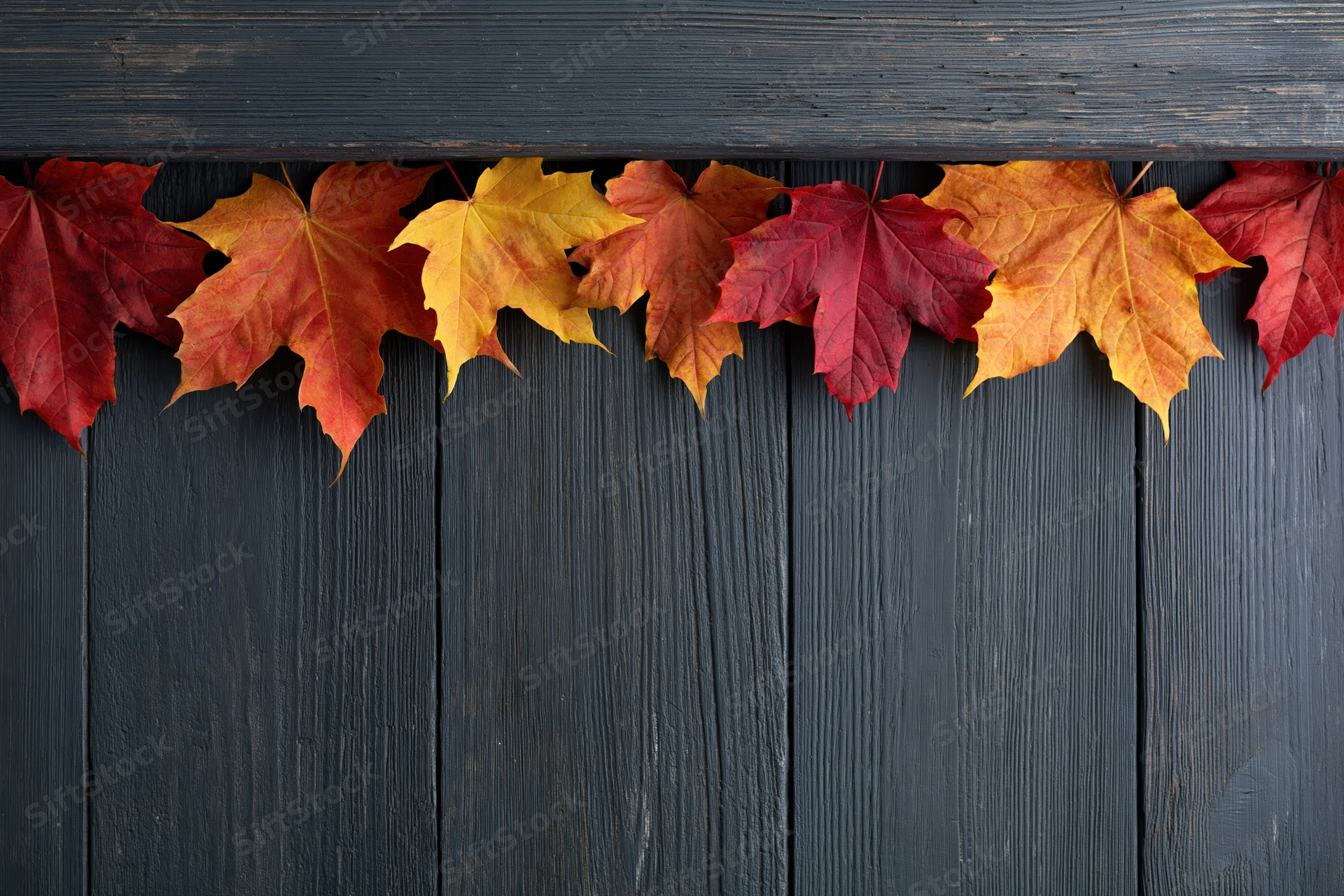Autumn maple leaves arranged in a horizontal border along dark wooden planks