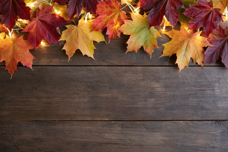 Autumn maple leaves arranged in a border along the top of a dark wooden surface with string lights, leaving copyspace below