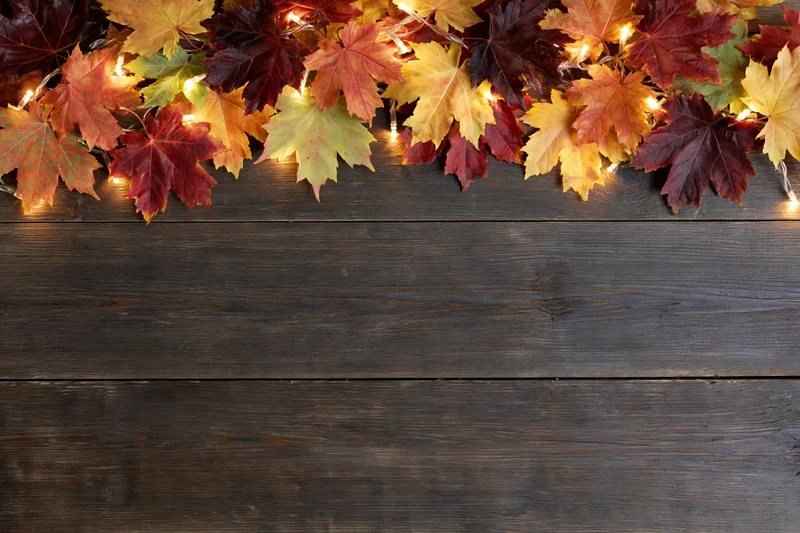 Autumn maple leaves arranged in a garland with string lights along the top edge of a dark wooden surface, leaving copyspace below